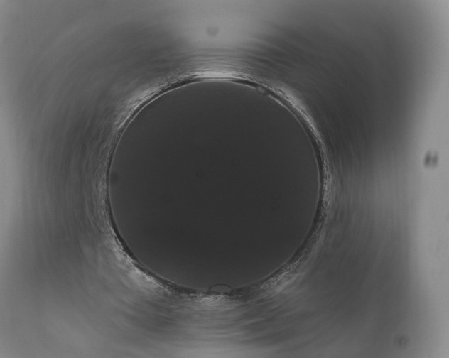 X0000111910385200907271227