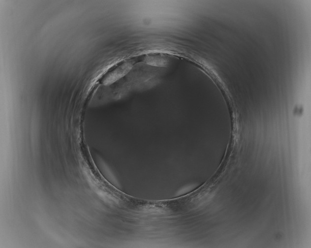 X0000111910386200907271227