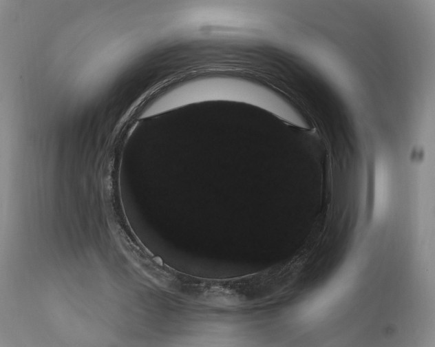 X0000111910387200907271227