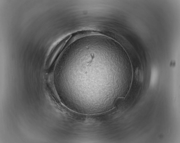 X0000111910388200907271227