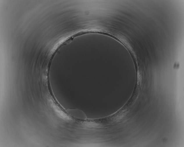 X0000111910389200907271227