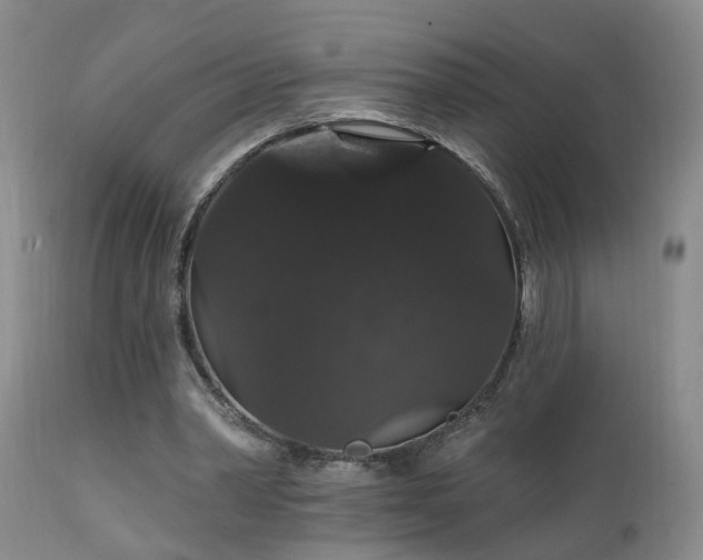 X0000111910390200907271227