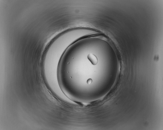X0000111910391200907271227