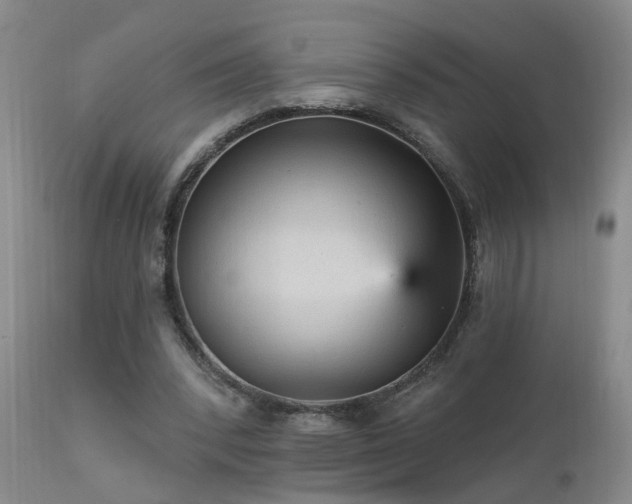 X0000111910392200907271227
