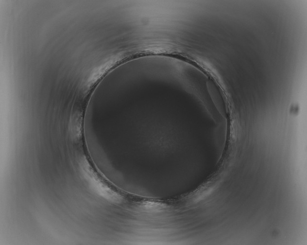 X0000111910393200907271227