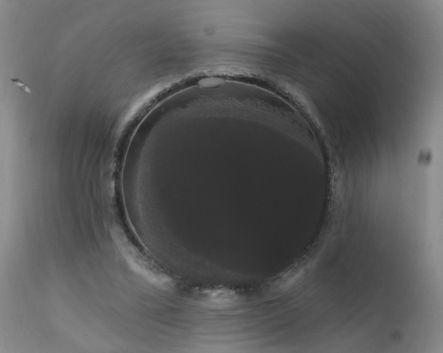 X0000111910395200907271227