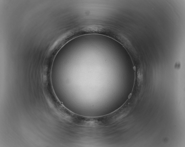 X0000111910396200907271227