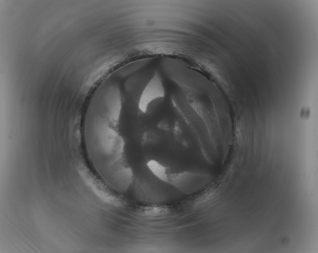 X0000111910398200907271227