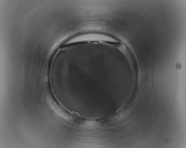 X0000111910399200907271227