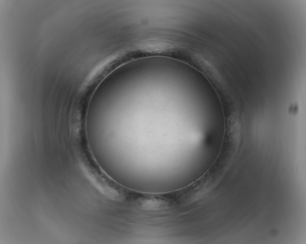 X0000111910400200907271227