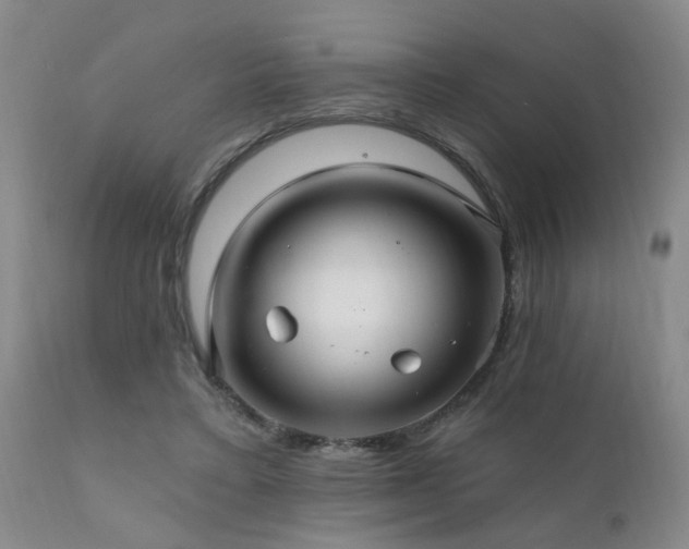 X0000111910403200907271227