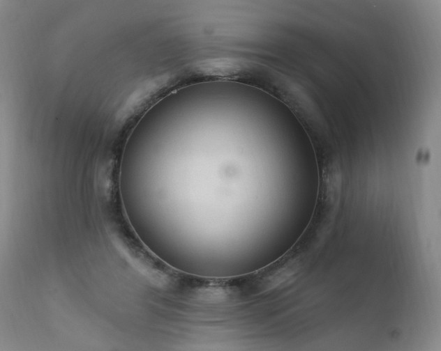 X0000111910404200907271227