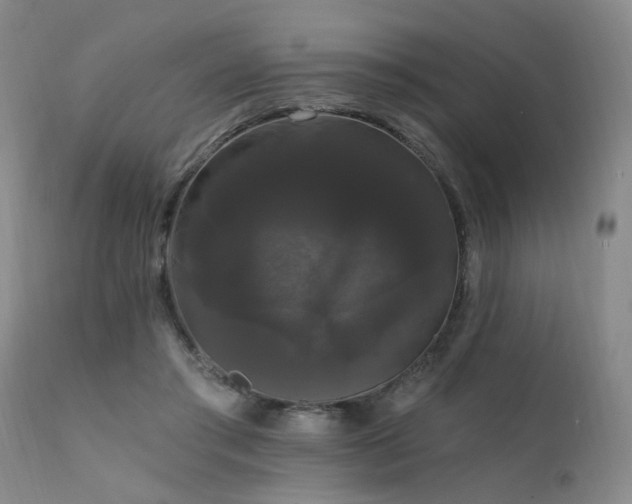 X0000111910405200907271226