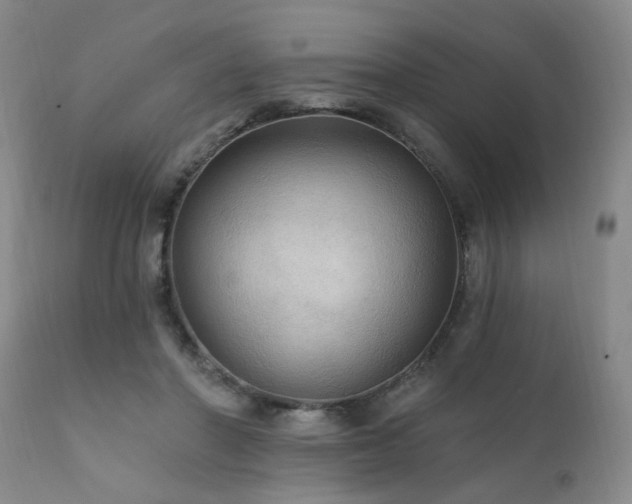 X0000111910406200907271226