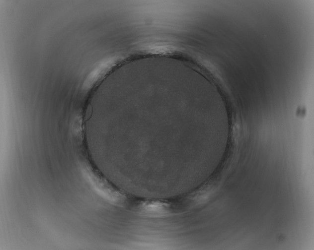 X0000111910407200907271226