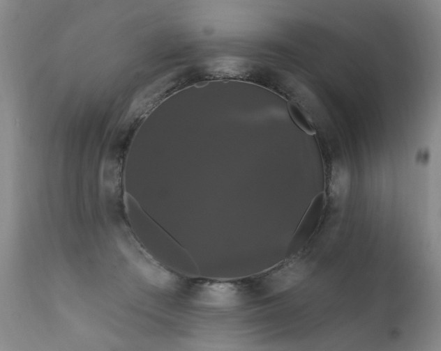 X0000111910409200907271226