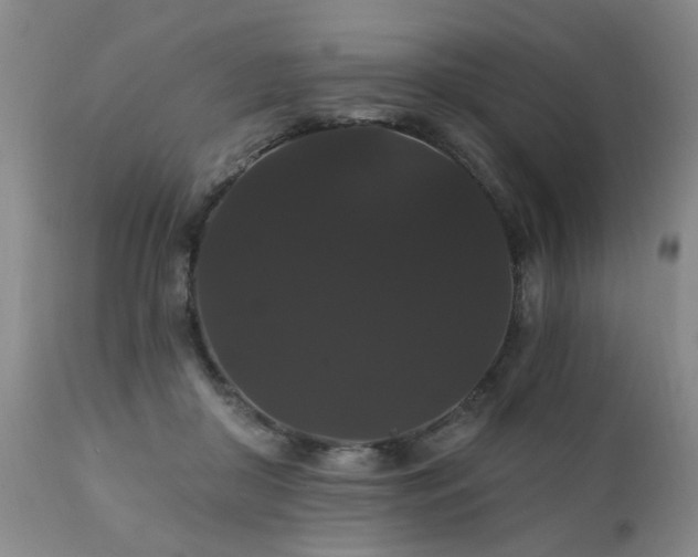 X0000111910410200907271226
