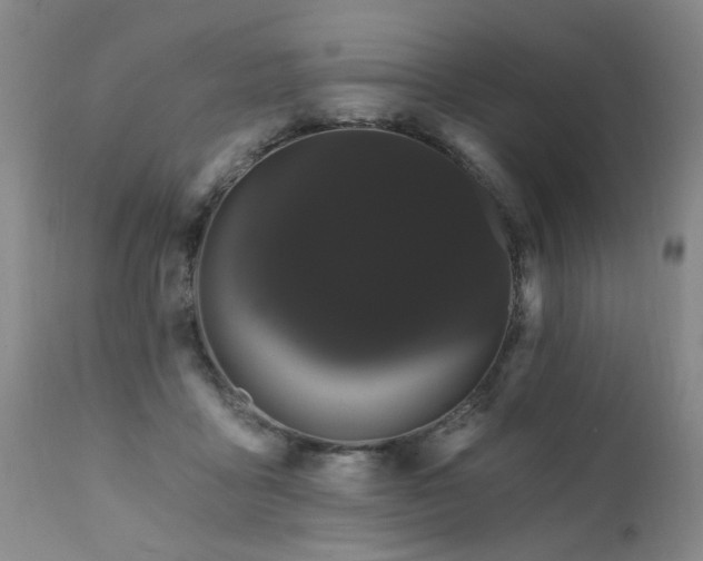 X0000111910411200907271226