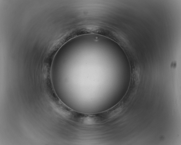X0000111910412200907271226