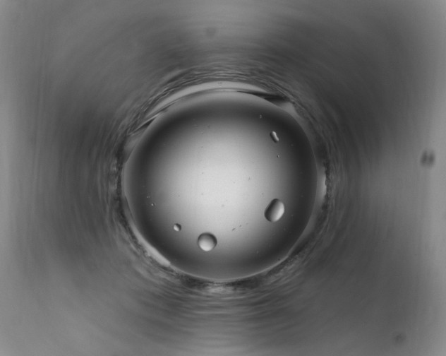X0000111910413200907271226