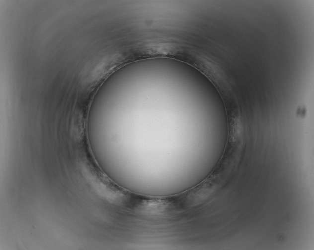 X0000111910414200907271226