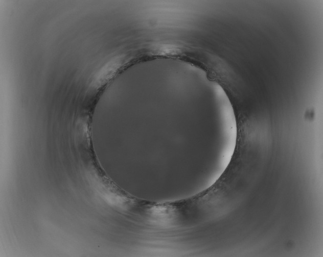 X0000111910415200907271226