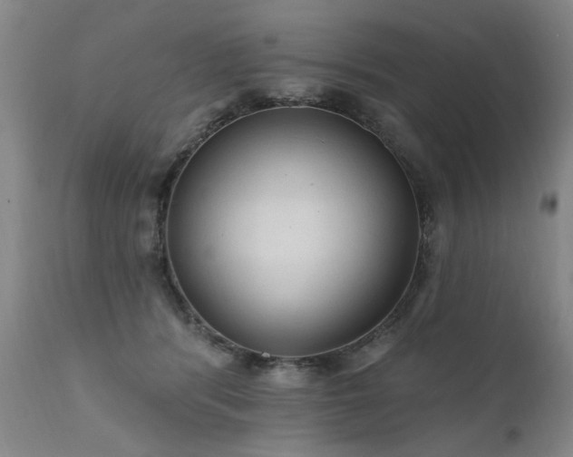 X0000111910416200907271226