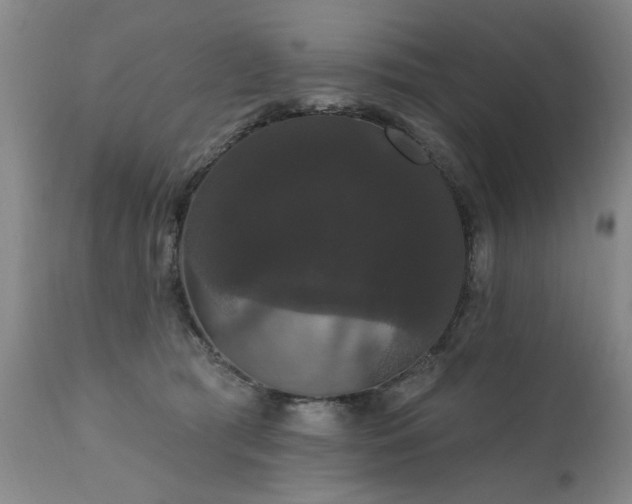 X0000111910417200907271226