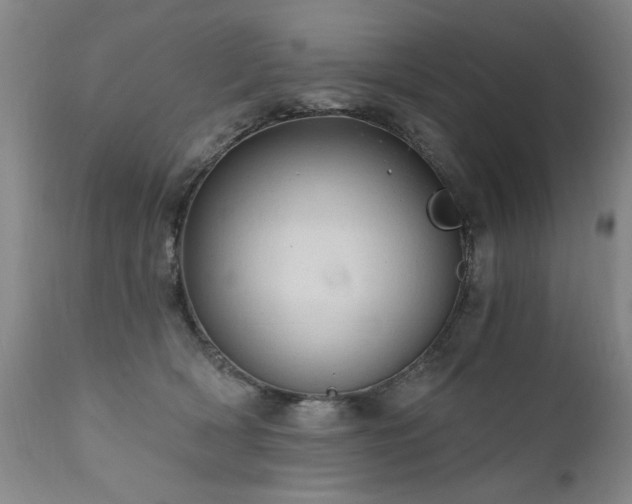 X0000111910418200907271226