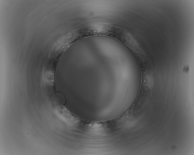 X0000111910419200907271226