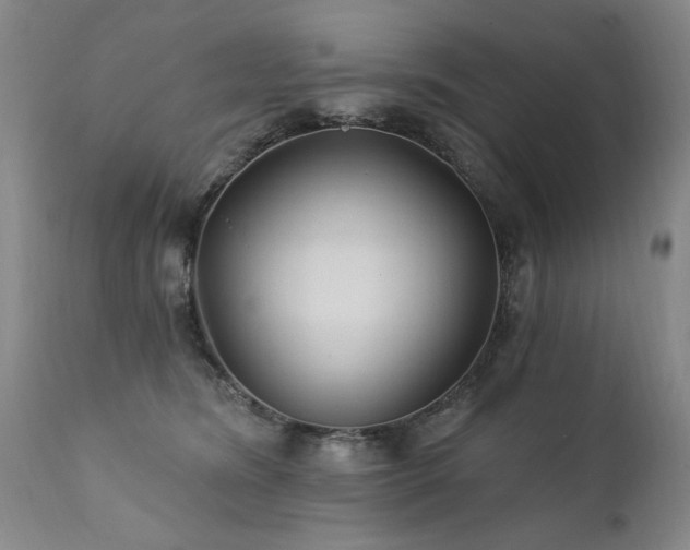 X0000111910420200907271226