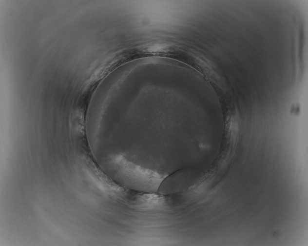 X0000111910421200907271226
