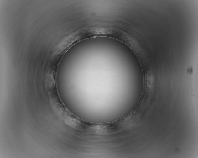 X0000111910422200907271226