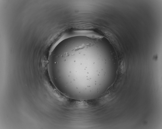 X0000111910424200907271226