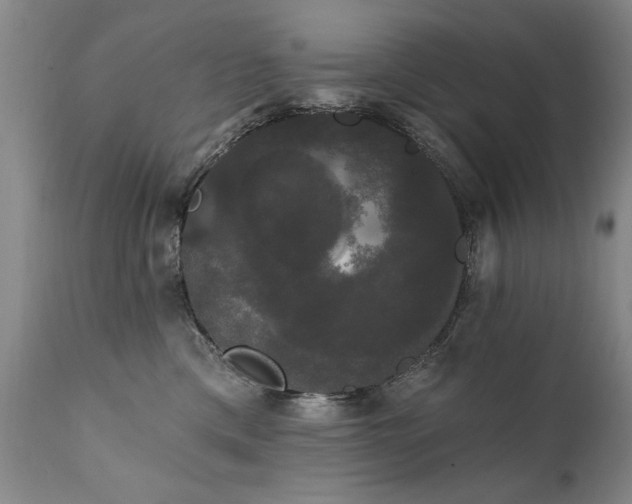 X0000111910425200907271226