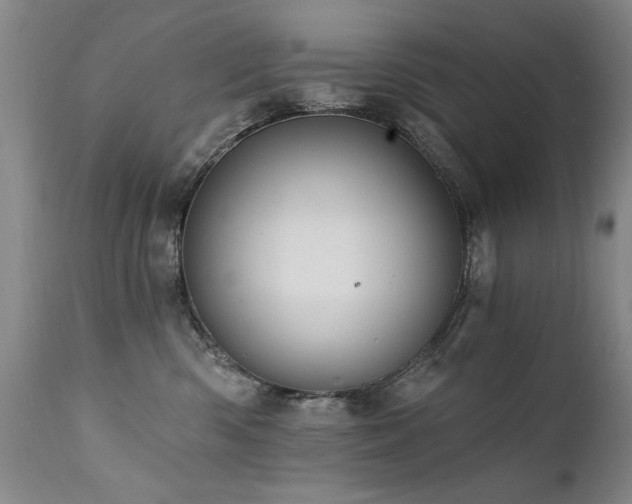 X0000111910426200907271226