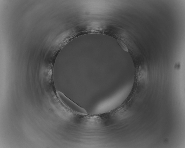 X0000111910427200907271226