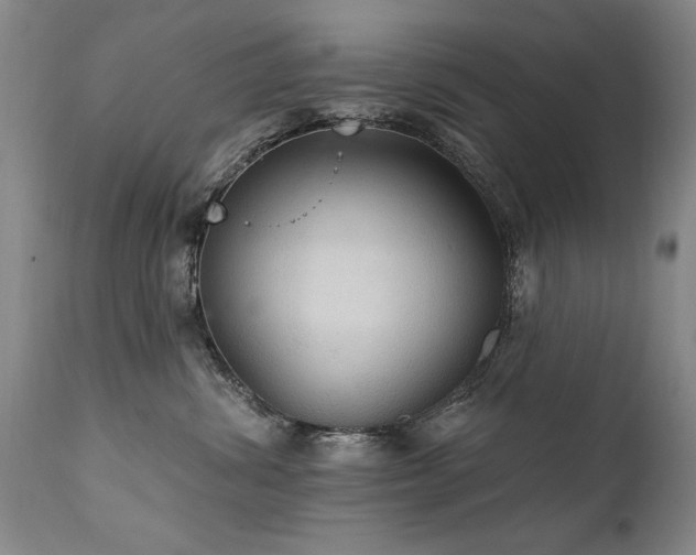 X0000111910428200907271226