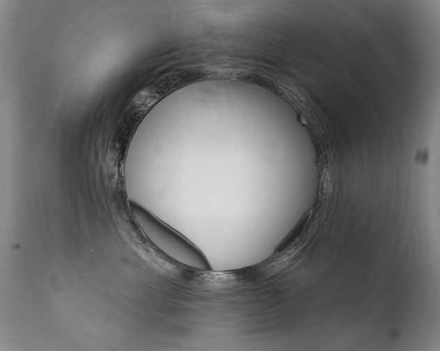 X0000111910429200907271226
