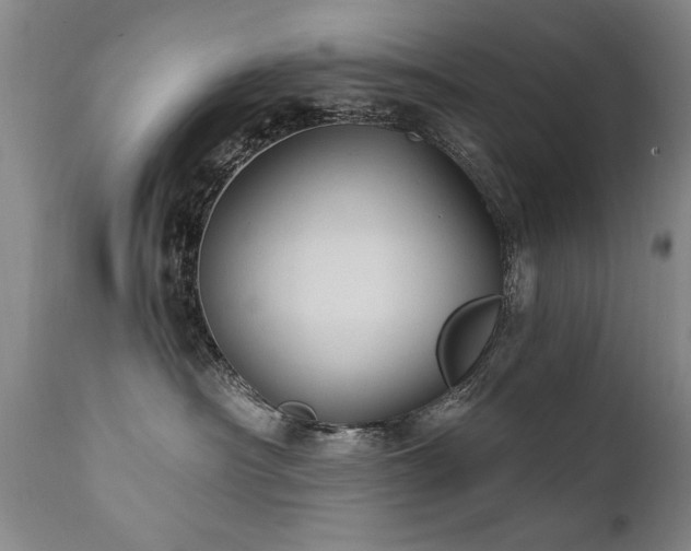 X0000111910430200907271226