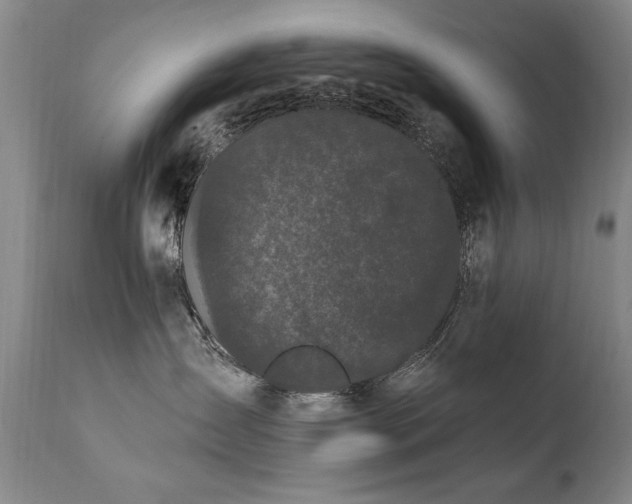 X0000111910431200907271226