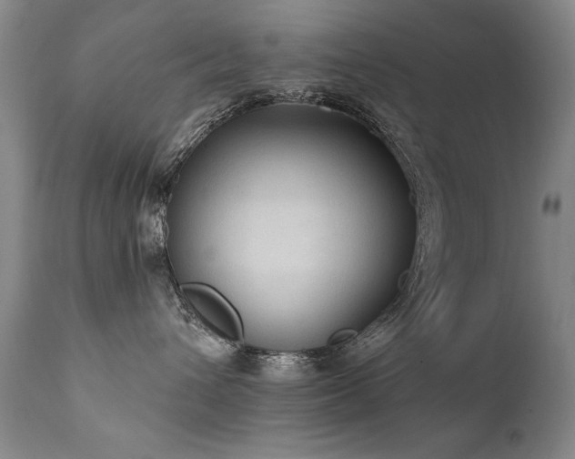 X0000111910432200907271226