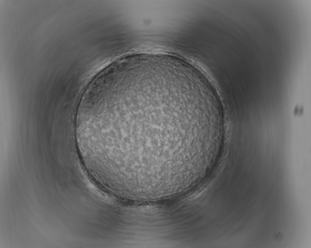 X0000111910433200907271225