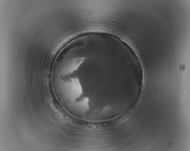 X0000111910434200907271225