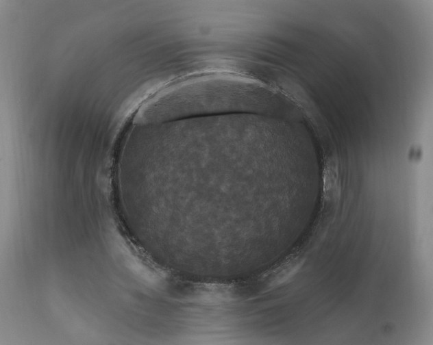 X0000111910436200907271225