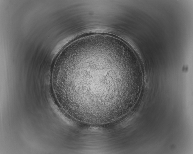 X0000111910437200907271225
