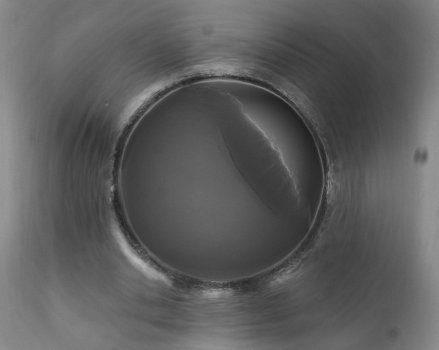X0000111910438200907271225