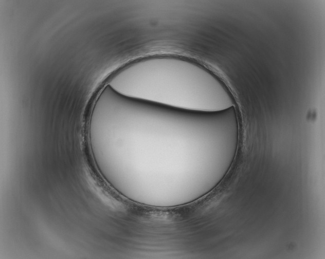 X0000111910439200907271225