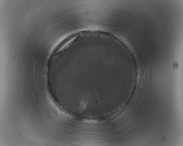 X0000111910440200907271225