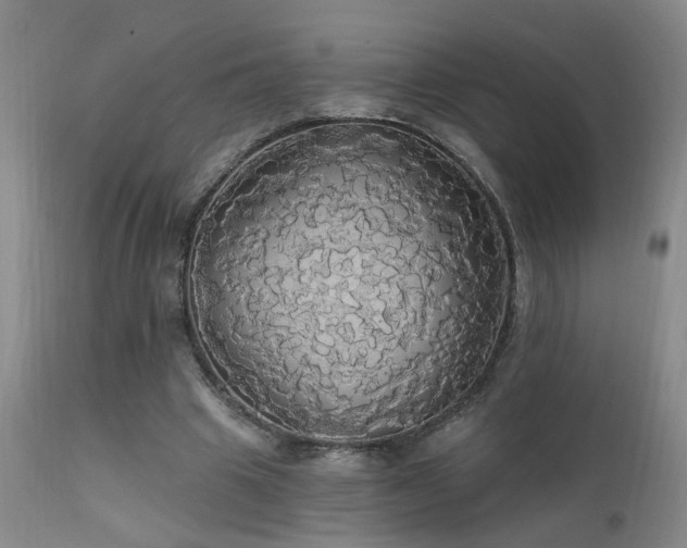 X0000111910441200907271225